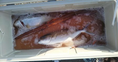 康仁丸・ジギング釣り果